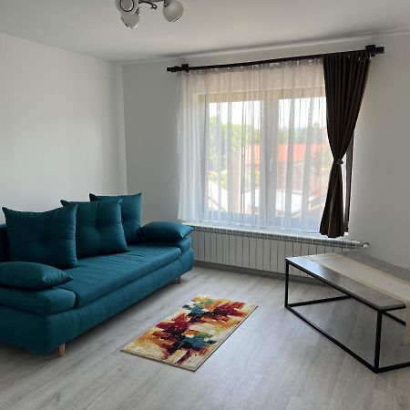 Casa Rafael 호텔 Sighetu Marmaţiei 외부 사진