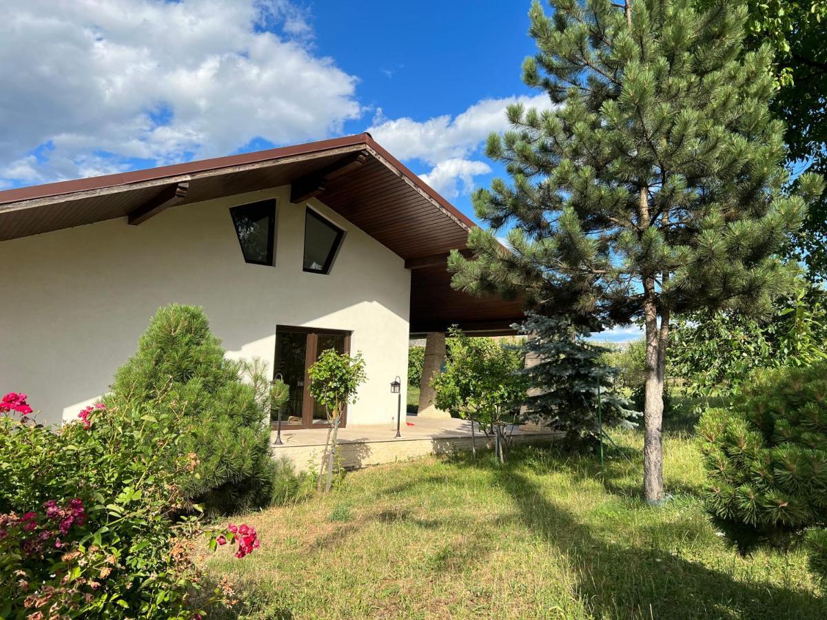 Casa Rafael 호텔 Sighetu Marmaţiei 외부 사진