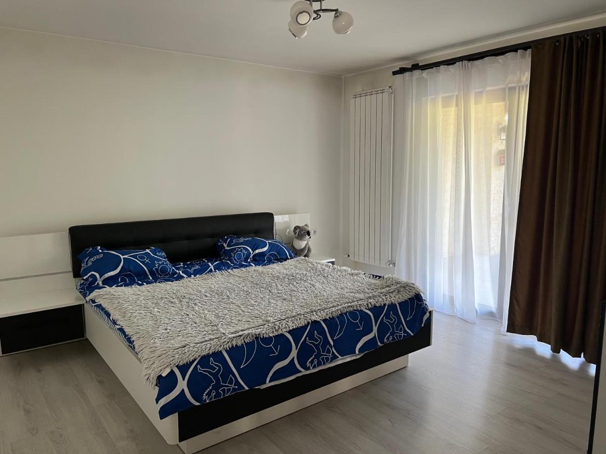 Casa Rafael 호텔 Sighetu Marmaţiei 외부 사진