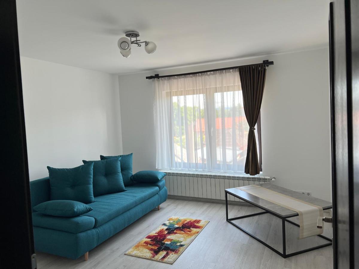 Casa Rafael 호텔 Sighetu Marmaţiei 외부 사진